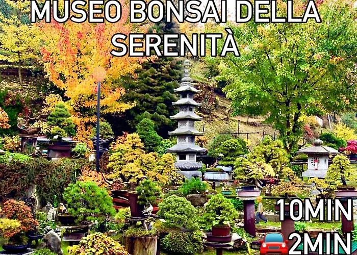 Apartment Manuel Tarzo